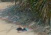 Mayat Ditemukan Mengambang Di Sungai Ngaso