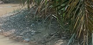 Mayat Ditemukan Mengambang Di Sungai Ngaso