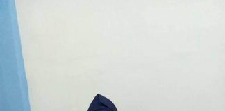 Syahril Topan Diusung PPP dan Golkar, Andrizal : PAN Saat Ini Baik Baik Saja