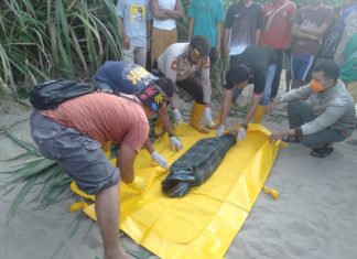 Dua Bocah Hanyut di Sungai Batang Lubuh, Satu Masih Dalam Pencarian