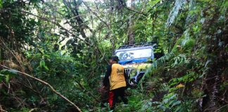 Peserta ROX Jelajahi Hutan Rimba Rokan Hulu