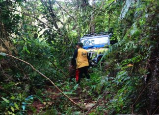 Peserta ROX Jelajahi Hutan Rimba Rokan Hulu