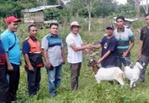 20 Ekor Kambing Disalurkan Pemdes RSB Dalam Program Pemberdayaan Ekonomi Masyarakat