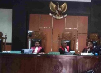 Disebut Serobot Lahan Warga, Gugatan Desa Bangun Kepada PT Torganda Ditolak PN Pasir Pengaraian