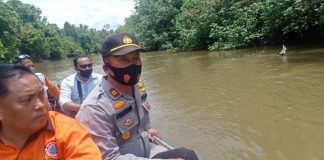 Bocah Hanyut dan Jenazah Belum Ditemukan, Polsek Rambah dan Tim Telusuri Sungai Batang Lubuh