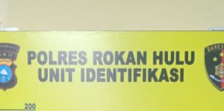 Diduga Penjudi Togel Online, Pria Paruh Baya Diamankan Polres Rohul