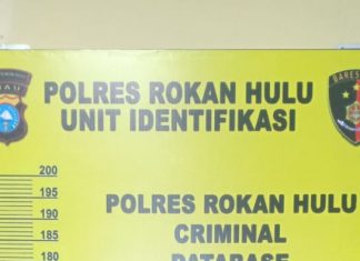 Diduga Penjudi Togel Online, Pria Paruh Baya Diamankan Polres Rohul