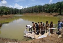 Tabur 10 Ribu Benih Ikan Emas, Desa RTU Miliki Cekdam Perikanan