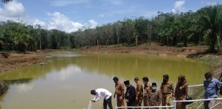 Tabur 10 Ribu Benih Ikan Emas, Desa RTU Miliki Cekdam Perikanan