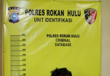 Miliki Narkotika Jenis Shabu, Pemuda Asal Tambusai Barat Diamankan