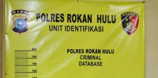 Miliki Narkotika Jenis Shabu, Pemuda Asal Tambusai Barat Diamankan