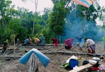 Mengenal Tradisi “Munuga” masyarakat Rokan Hulu