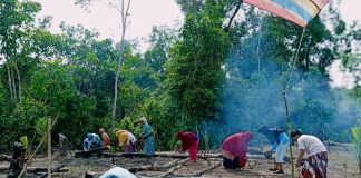 Mengenal Tradisi “Munuga” masyarakat Rokan Hulu