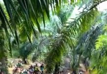 Panitia Jelajah Alam Jalak 1 Kepenuhan Hulu “Uji Lintasan”