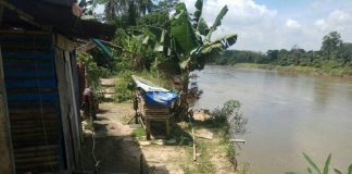 Menunggu Saatnya Runtuh