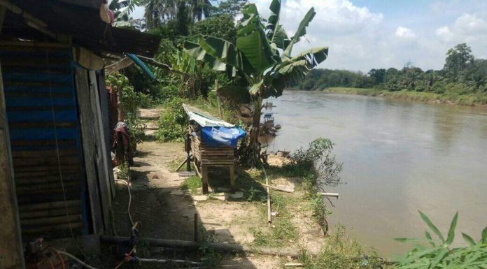 Menunggu Saatnya Runtuh