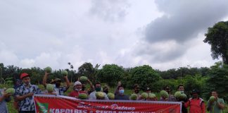 Program Kampung Tangguh di Desa Sungai Kumango Sukses