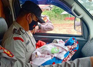 Tega, Bayi Dibuang Dalam Kardus Hingga Meninggal Dunia
