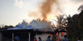 Rumah di Desa Muara Musu Ludes Dilahap Si Jago Merah