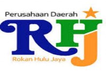 Pemkab Akui Perbaikan Kinerja Perumda Rohul Jaya