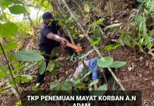 Cerita Panjang Pembunuhan di Rohul, Cinta Membawa Duka