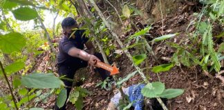 Cerita Panjang Pembunuhan di Rohul, Cinta Membawa Duka