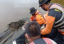 Setelah Dua Hari Hanyut, Jasad Bocah di Rohul Akhirnya Ditemukan