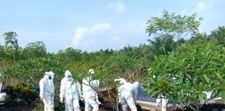 Covid-19 Kembali Menelan Korban, 1 Warga Rohul Meninggal Dunia.