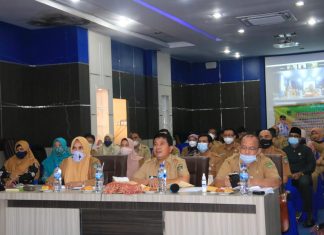 Kabupaten Rokan Hulu Masuk Nominasi Penghargaan APE