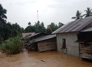 Banjir di Desa RTH Capai 1 Meter
