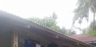Dukung Perangi Penyebaran Covid-19, Pemdes Lubuk Napal Semprot Disinfektan di Rumah Warga