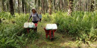 Karyawan PT Torganda Diliburkan Saat Penyelenggaraan PSU