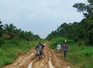 Jalan Menuju Tanah Kelahiran Tuan Guru Syekh Abdul Wahab Rokan Terbengkalai, Masyarakat MENGIBA
