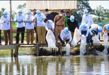 Plh Bupati Rohul Bersama KIPM Pekanbaru Tebar 150 Ribu Ekor Ikan Nilem di Bendungan Desa Menaming