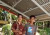 Ribuan Ikan di Sungai Batang Sosah Tiba-Tiba Mengapung dan Mati, Masyarakat Minta Perusahaan Pembuang Limbah Ditutup dan Dituntut