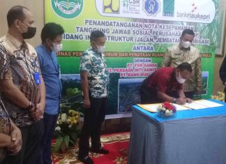 Tingkatkan Percepatan Pembangunan, Dinas PUPR Rohul Jalin Kerjasama Dengan PT Torganda dan Bank Riau Kepri