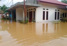 Curah Hujan Tinggi, Ratusan Rumah Warga Desa Lubuk Napal Tergenang Banjir