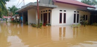 Curah Hujan Tinggi, Ratusan Rumah Warga Desa Lubuk Napal Tergenang Banjir