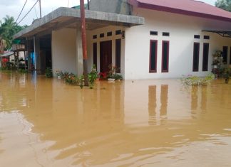 Curah Hujan Tinggi, Ratusan Rumah Warga Desa Lubuk Napal Tergenang Banjir
