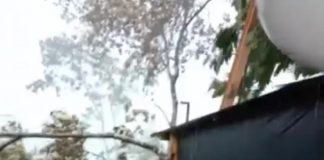 Atap Rumah Terbang, Pohon Ikut Tumbang Akibat Angin Kencang