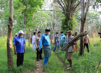 Wakil Bupati Rohul Tinjau Lahan Warga Disertifikat, Masyarakat Terharu dan Bangga