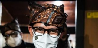 VIRAL, Kisah Mboy Si Kucing Buta, Bisa Berjumpa Dengan Sang Idola