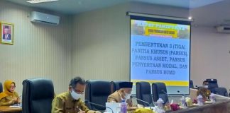 Kuasai Lima Mobil Dinas, Panitia Khusus(Pansus) Aset DPRD Kabupaten Kampar Kritik Bupati