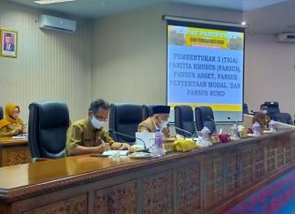 Kuasai Lima Mobil Dinas, Panitia Khusus(Pansus) Aset DPRD Kabupaten Kampar Kritik Bupati