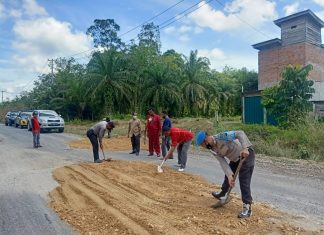 Cegah Kecelakaan Lalin, Polsek dan Warga Kepenuhan Timbun Jalan Lintas Provinsi Berlubang