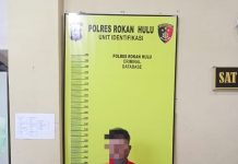 Berantas Narkoba, Polisi di Rohul Berhasil Amankan Pria Pemilik Ganja Kering Dengan Berat 2,4 Kg