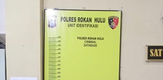 Berantas Narkoba, Polisi di Rohul Berhasil Amankan Pria Pemilik Ganja Kering Dengan Berat 2,4 Kg