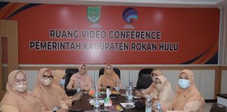 Puncak HUT DWP ke 22, Berikut Target DWP Rohul