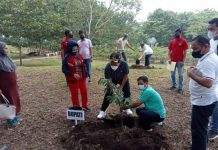 Bupati Sukiman : Mari Jaga dan Lestarikan Hutan