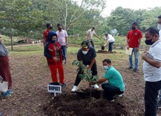 Bupati Sukiman : Mari Jaga dan Lestarikan Hutan